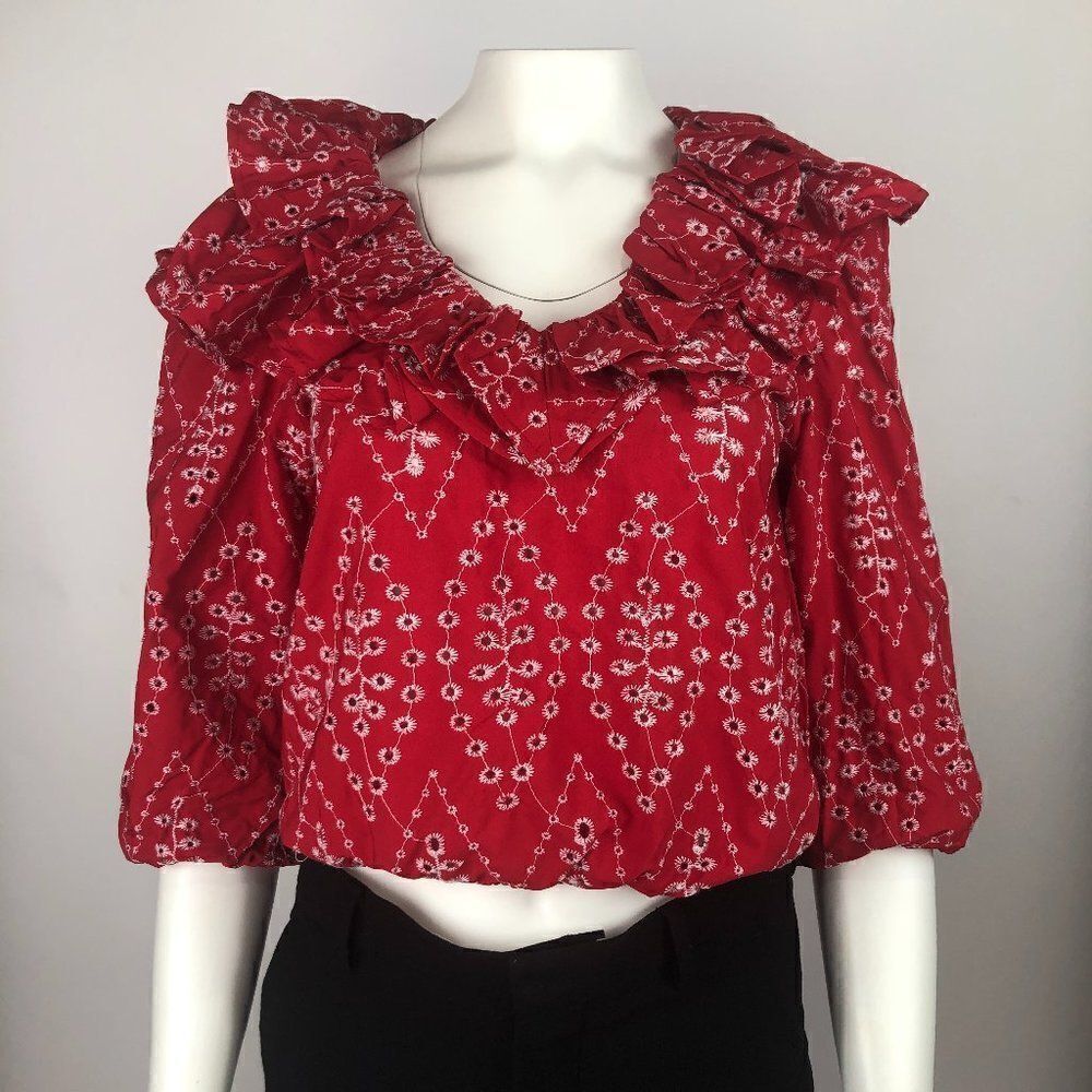 ZARA EMBROIDERED FLORAL TOP 